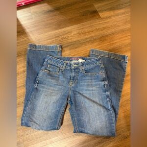 Cinch Women's Blue Flare Jeans